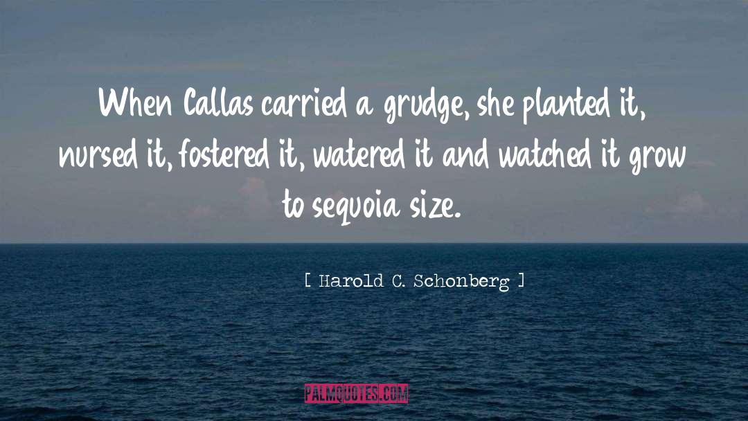 Callas quotes by Harold C. Schonberg