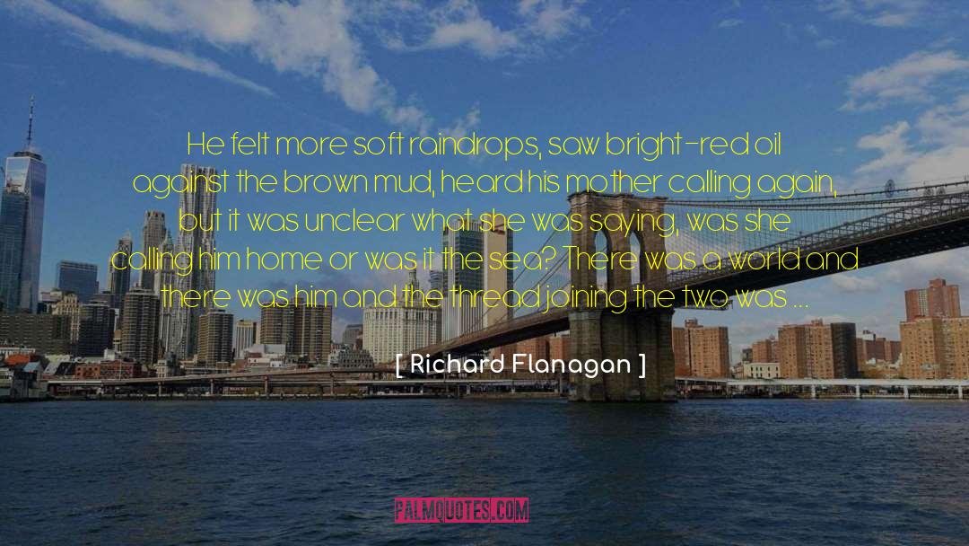 Calling A Friend After A Long Time quotes by Richard Flanagan