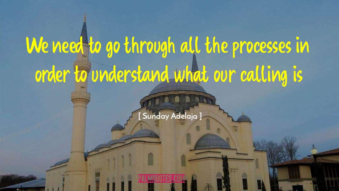 Calling Mission quotes by Sunday Adelaja