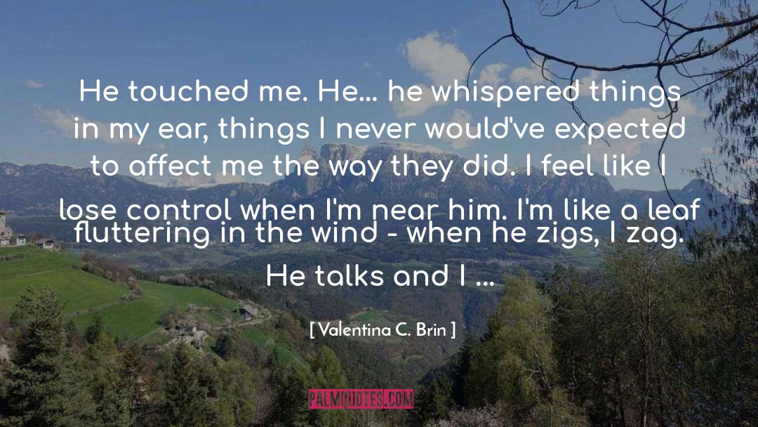 Callipygous In A Sentence quotes by Valentina C. Brin