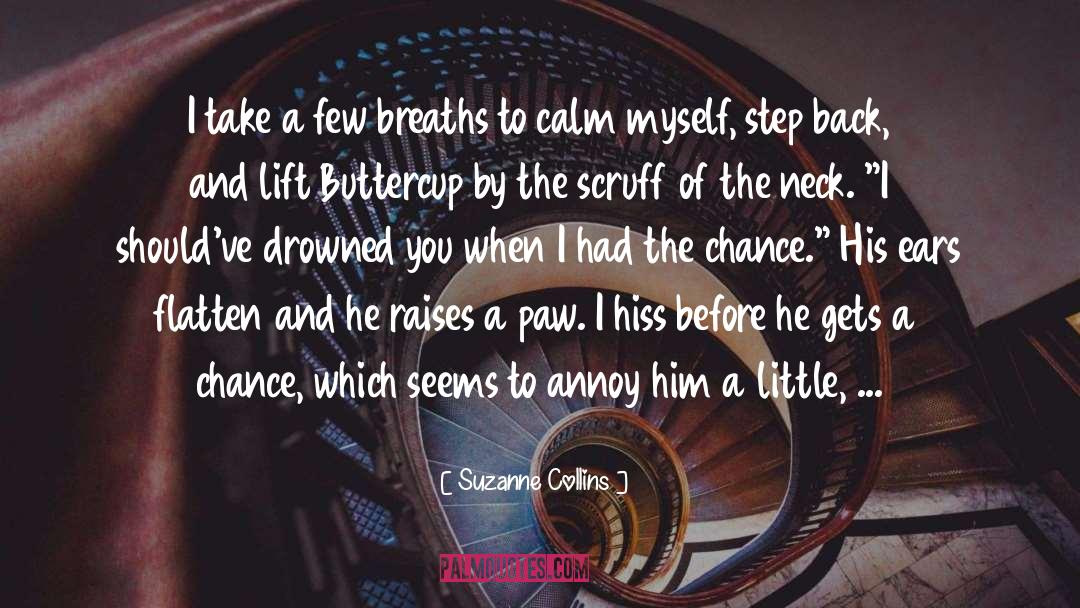 Calm Before The Storm quotes by Suzanne Collins