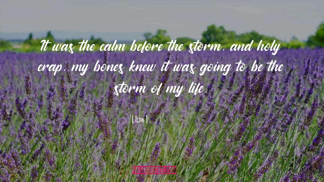 Calm Before The Storm quotes by Tijan