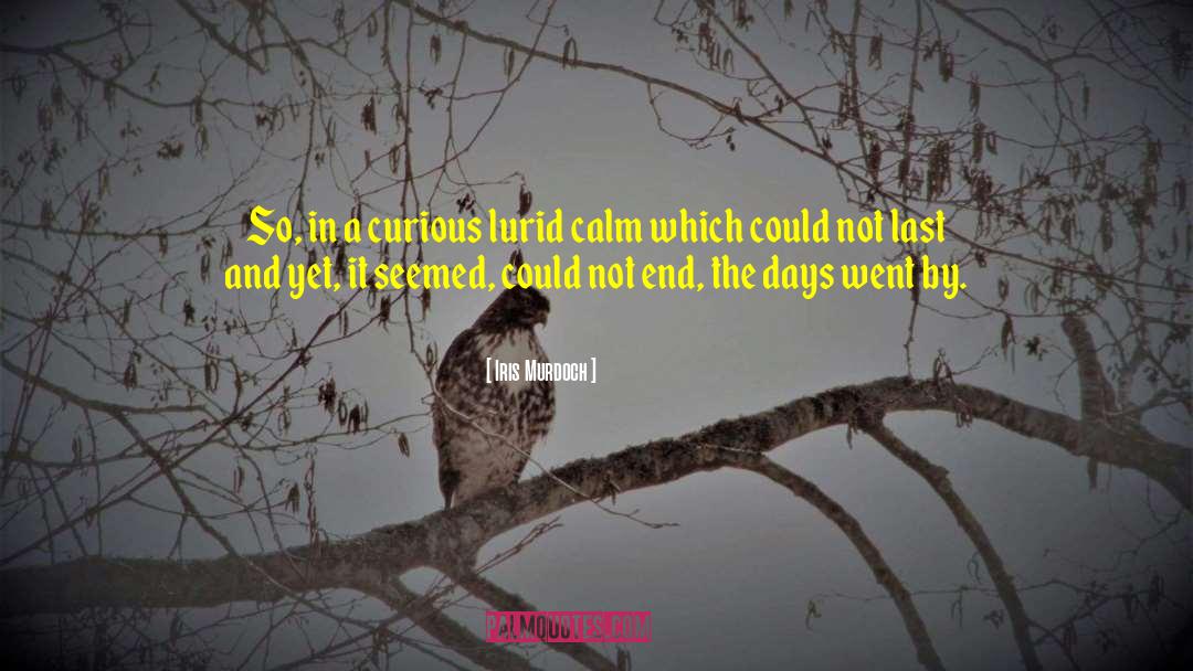 Calm Before The Storm quotes by Iris Murdoch