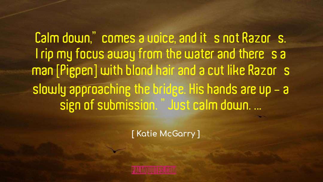 Calm Down quotes by Katie McGarry