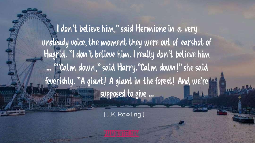 Calm Down quotes by J.K. Rowling