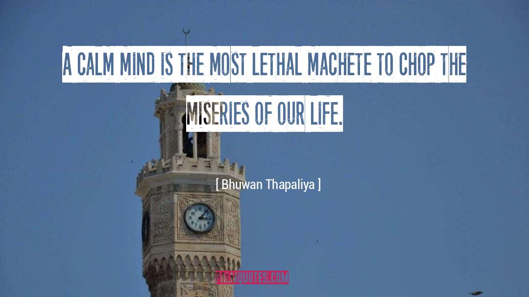 Calm Mind quotes by Bhuwan Thapaliya