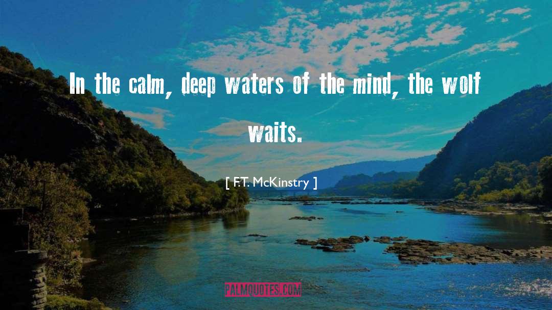 Calm Seas quotes by F.T. McKinstry