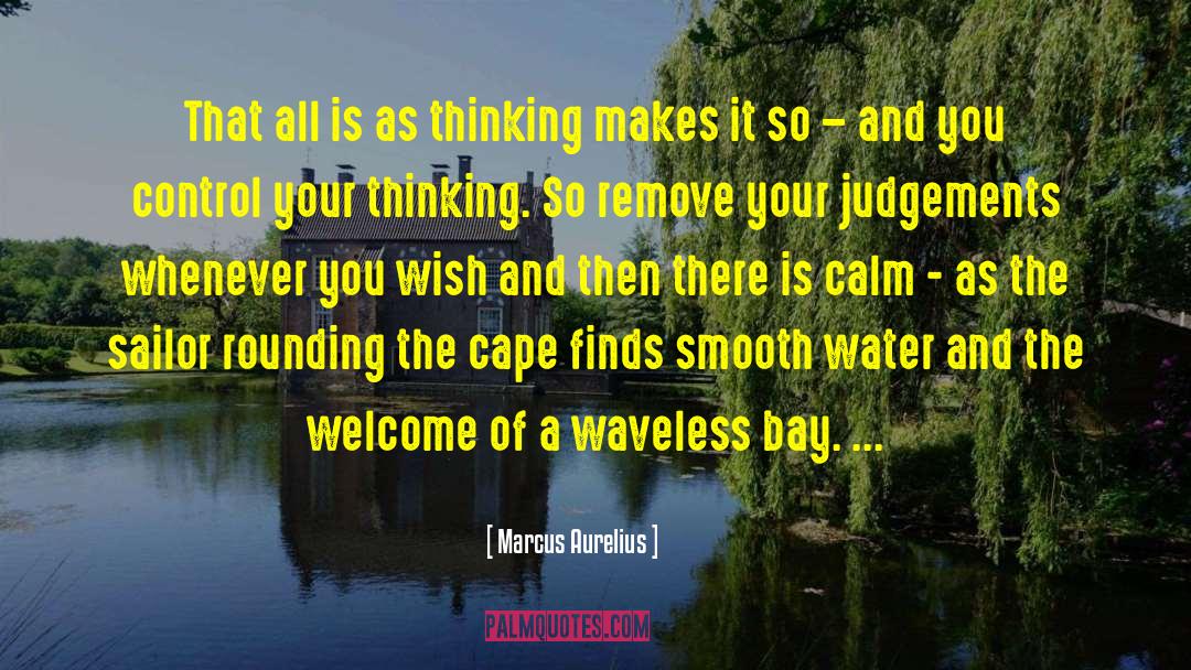 Calm The Ocean quotes by Marcus Aurelius