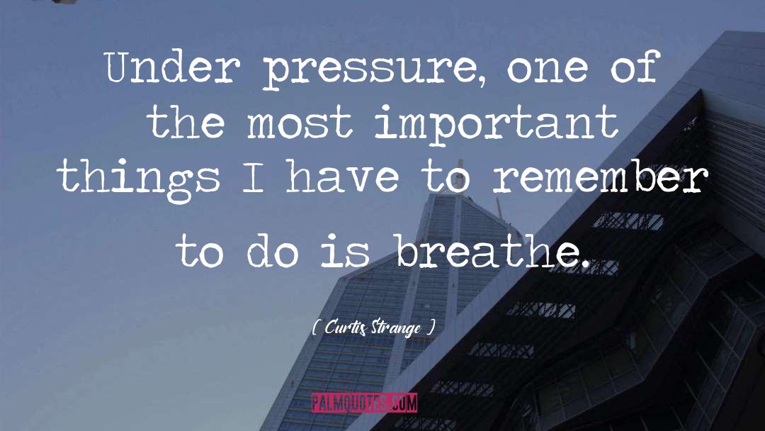 Calm Under Pressure quotes by Curtis Strange