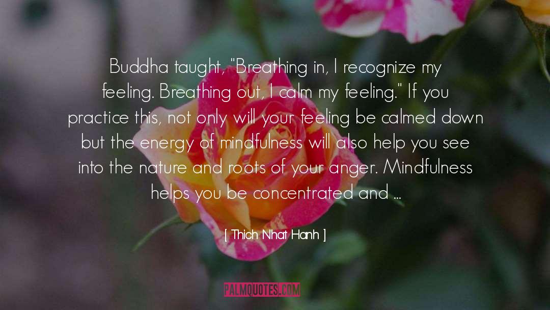 Calmed quotes by Thich Nhat Hanh