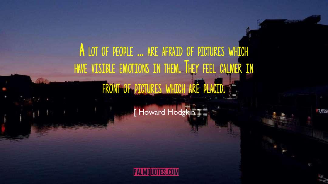 Calmer quotes by Howard Hodgkin