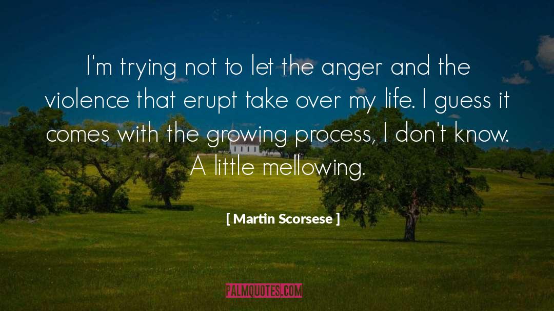 Calming Anger quotes by Martin Scorsese