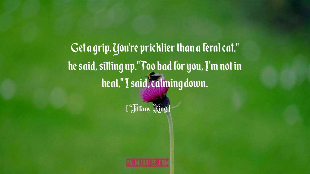 Calming Down quotes by Tiffany King