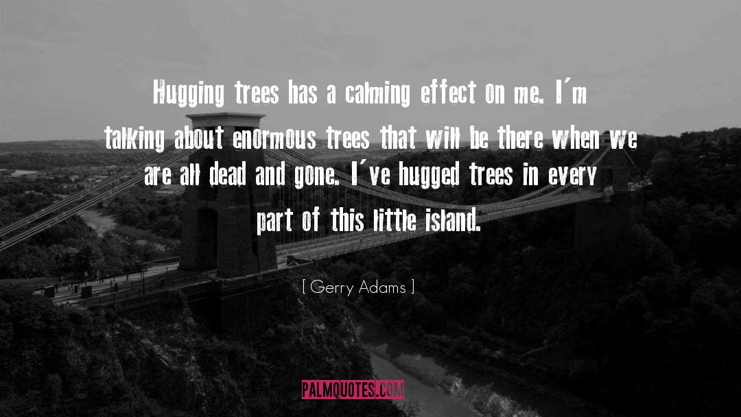 Calming Effect quotes by Gerry Adams