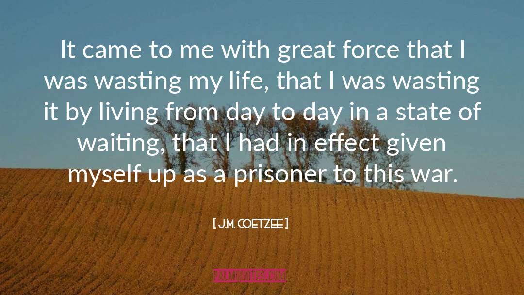 Calming Effect quotes by J.M. Coetzee