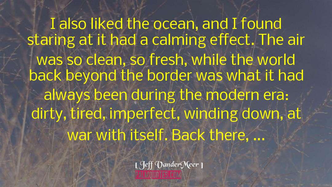 Calming Effect quotes by Jeff VanderMeer