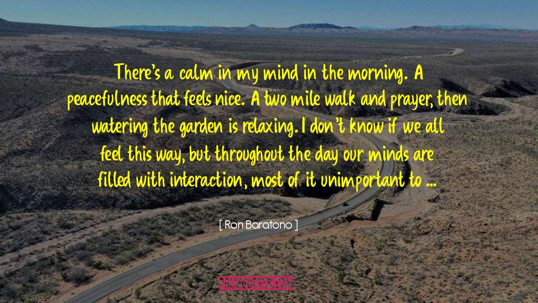 Calming The Mind quotes by Ron Baratono