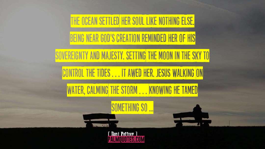Calming The Storm In Mind quotes by Dani Pettrey