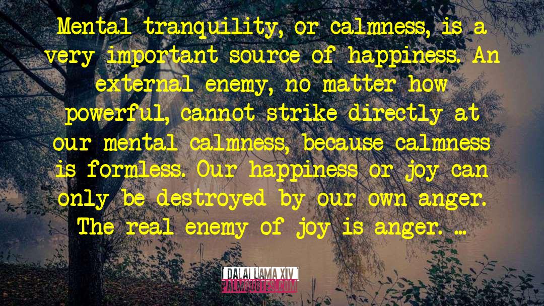 Calmness quotes by Dalai Lama XIV