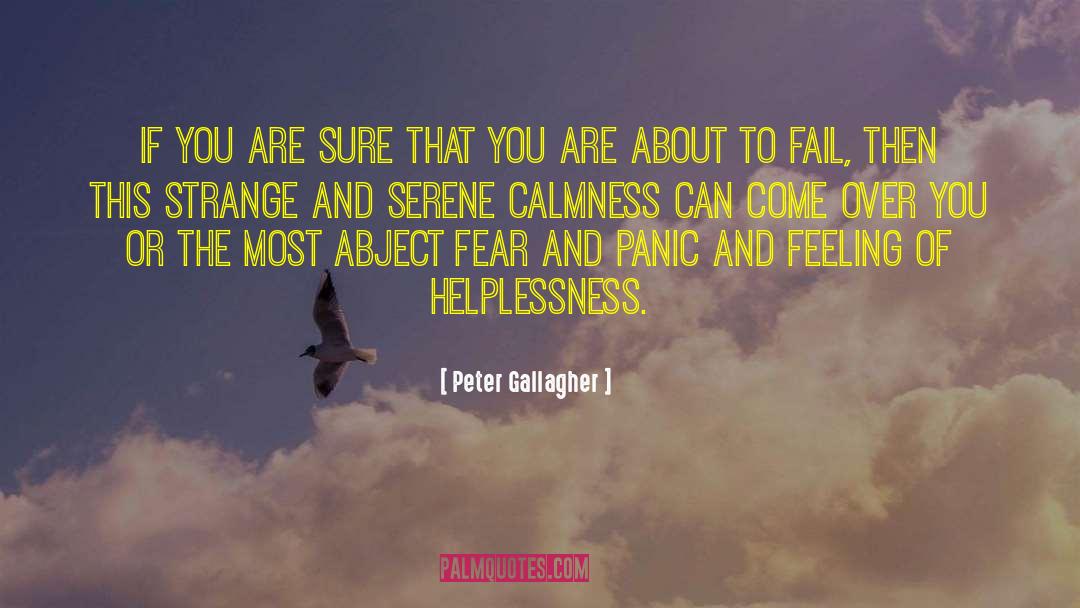 Calmness quotes by Peter Gallagher