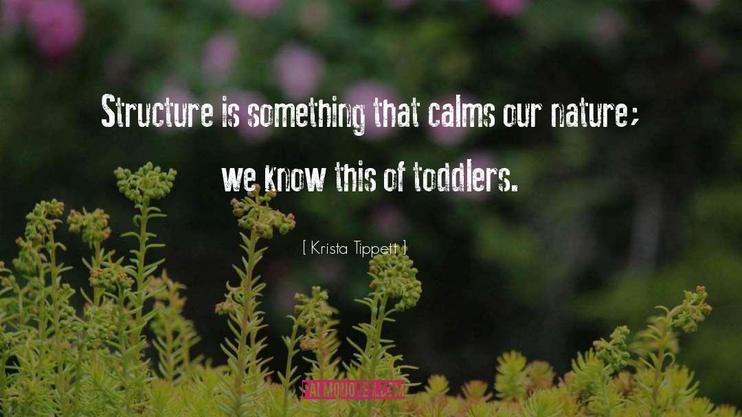 Calms quotes by Krista Tippett