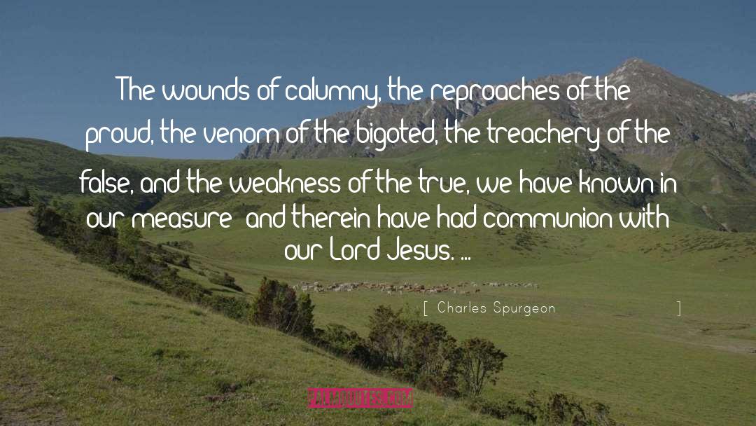 Calumny quotes by Charles Spurgeon