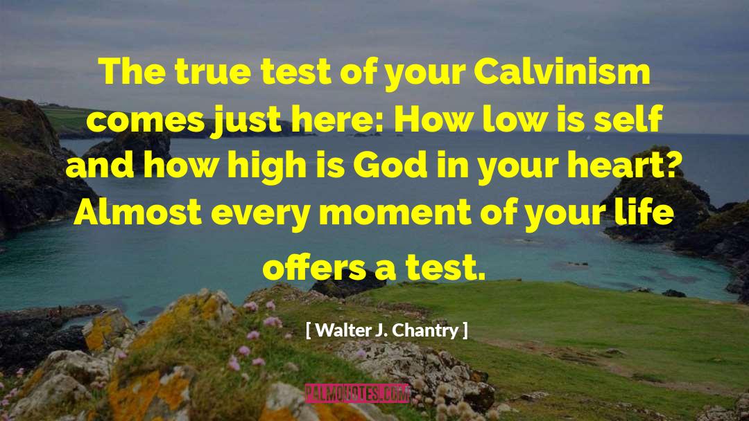 Calvinism quotes by Walter J. Chantry
