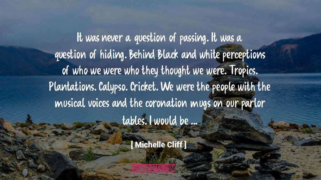 Calypso quotes by Michelle Cliff