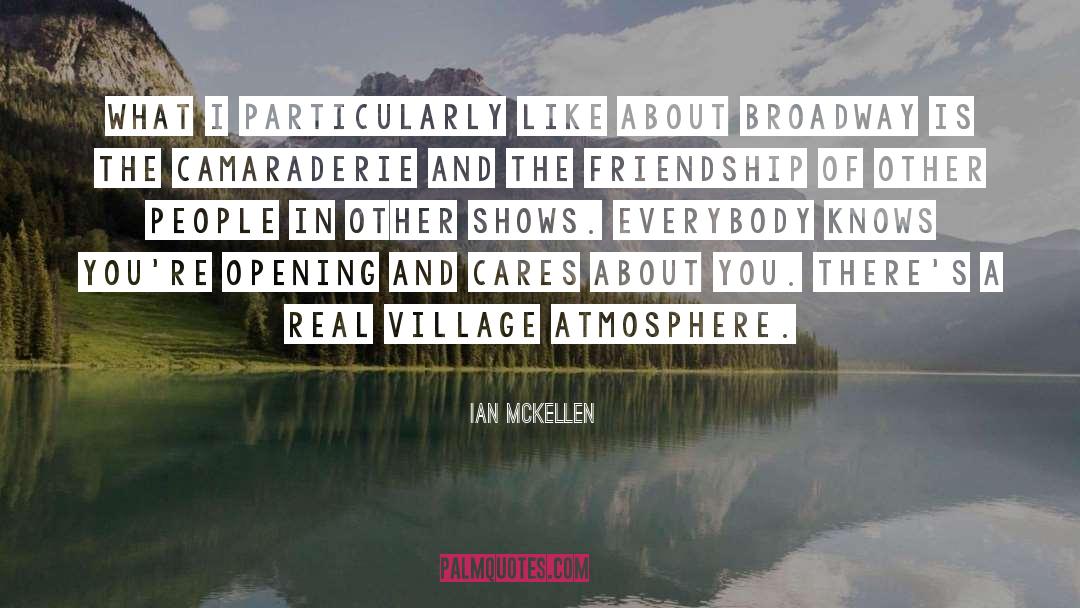 Camaraderie quotes by Ian McKellen