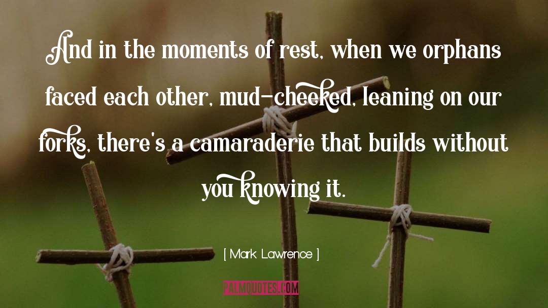 Camaraderie quotes by Mark Lawrence