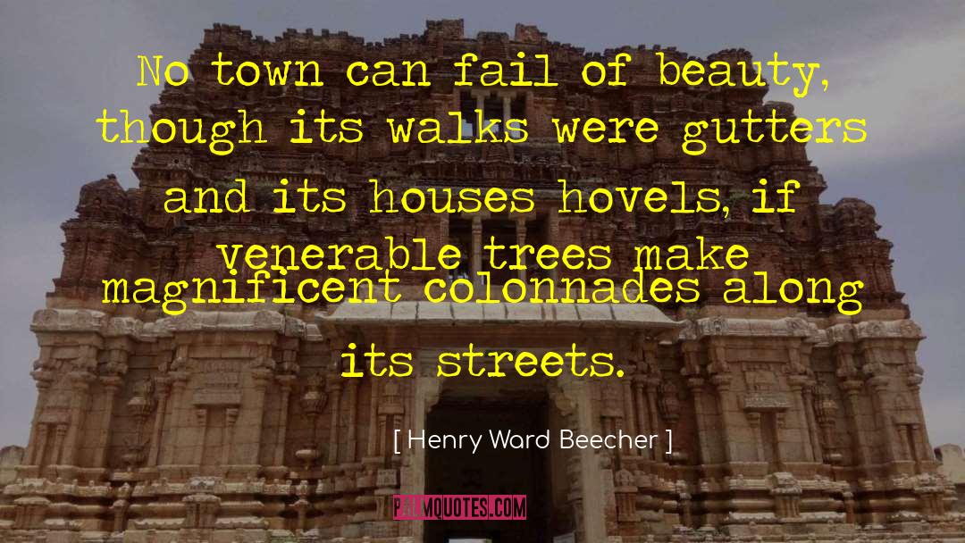 Camargos Gutters quotes by Henry Ward Beecher