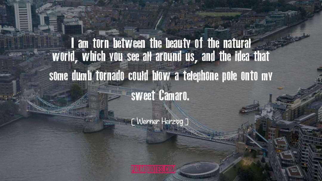 Camaro quotes by Werner Herzog