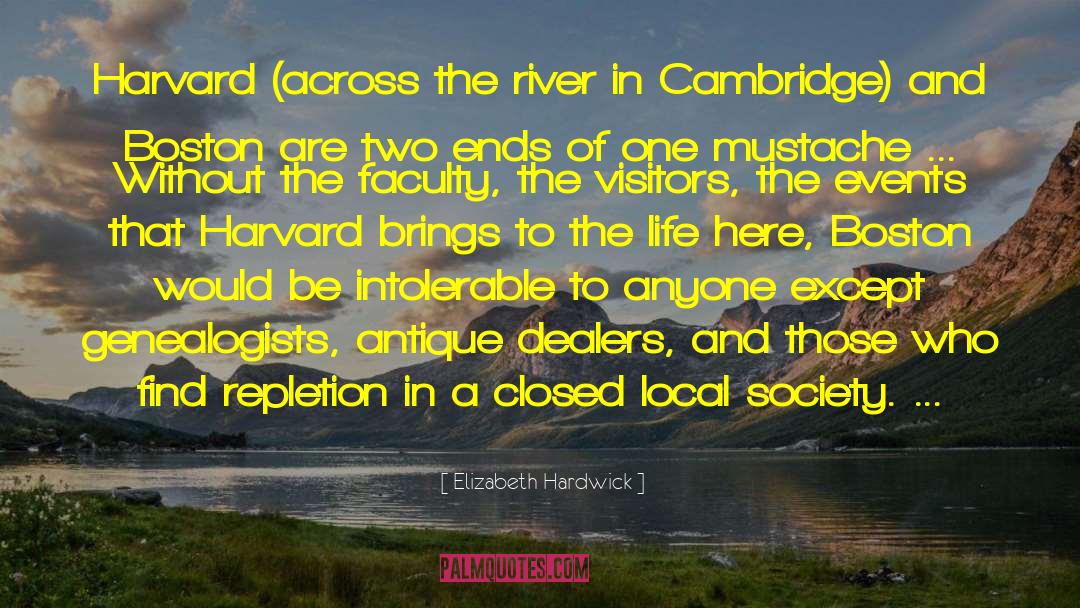 Cambridge quotes by Elizabeth Hardwick