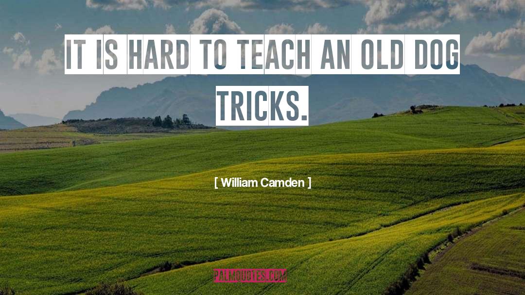 Camden quotes by William Camden
