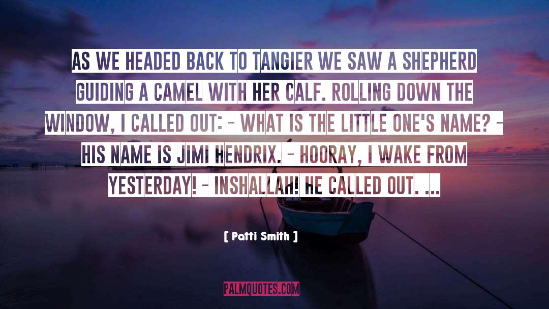 Camel quotes by Patti Smith