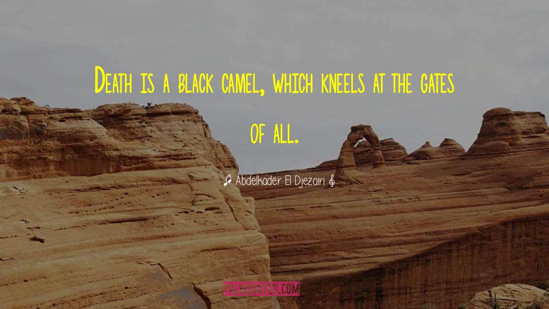 Camel quotes by Abdelkader El Djezairi