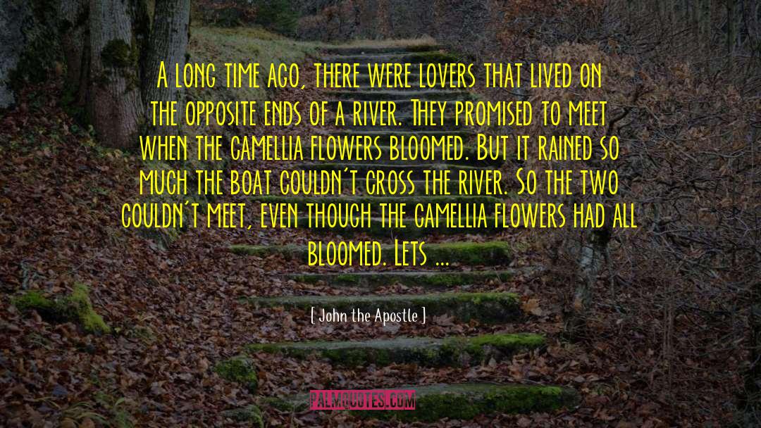Camellia quotes by John The Apostle