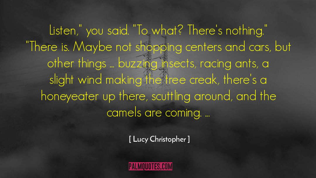 Camels quotes by Lucy Christopher