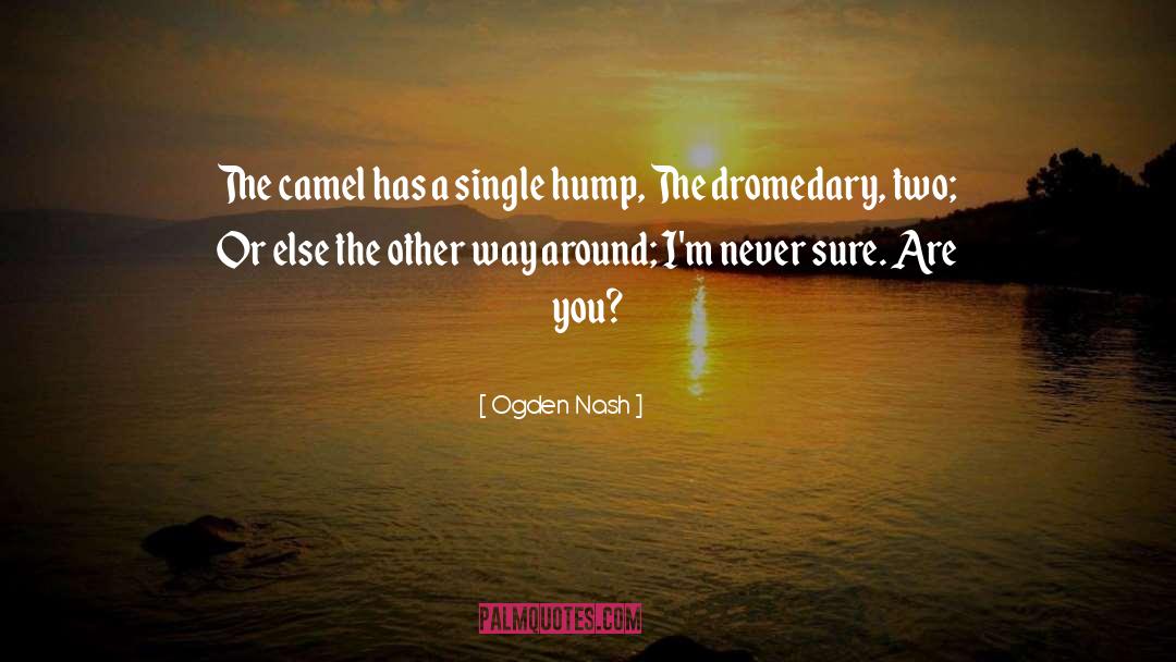 Camels quotes by Ogden Nash