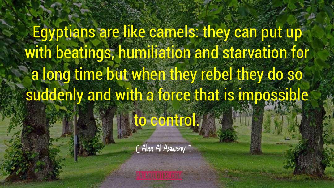 Camels quotes by Alaa Al Aswany