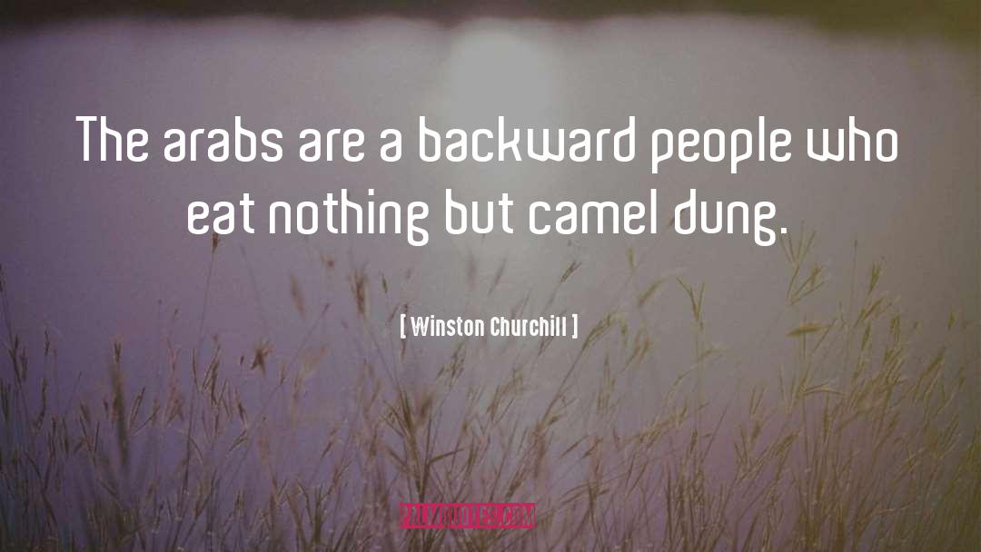 Camels quotes by Winston Churchill