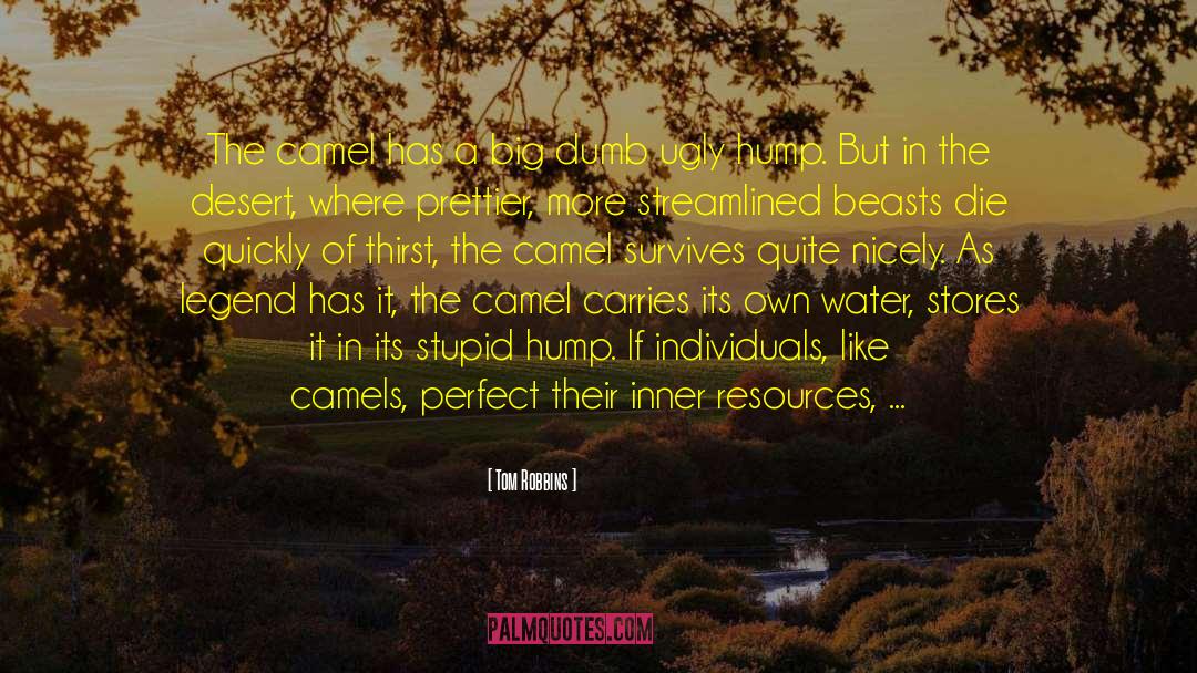 Camels quotes by Tom Robbins