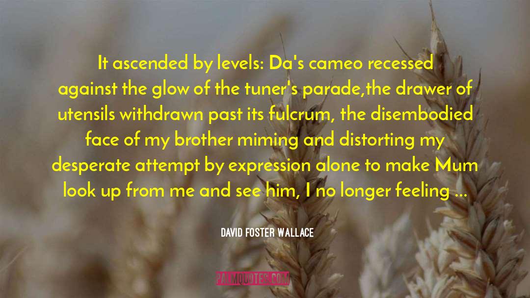 Cameo quotes by David Foster Wallace