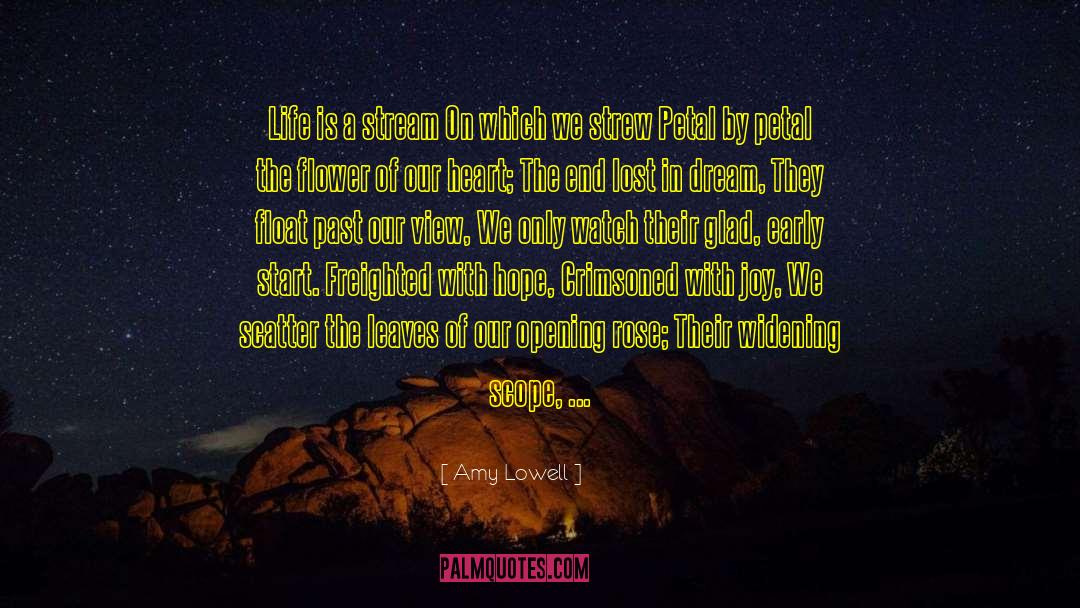 Camera And Life quotes by Amy Lowell