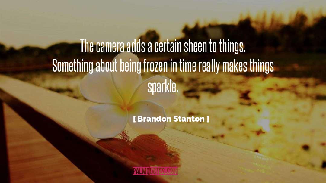 Camera Apertures quotes by Brandon Stanton