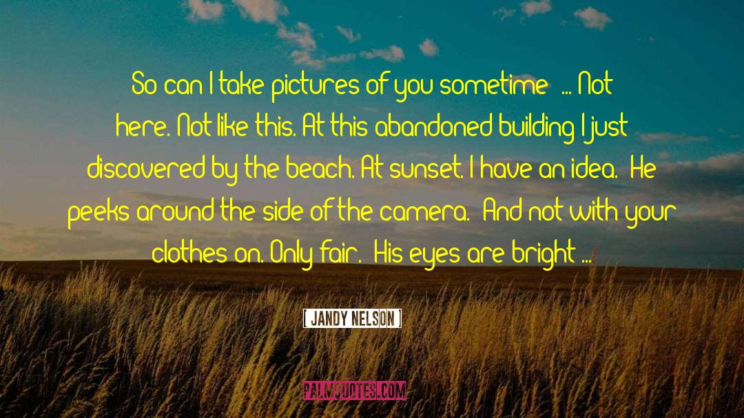 Camera Filters quotes by Jandy Nelson