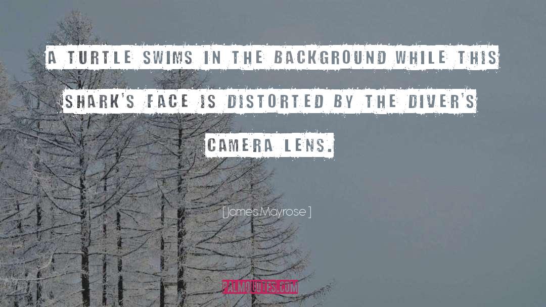 Camera Lens quotes by James Mayrose