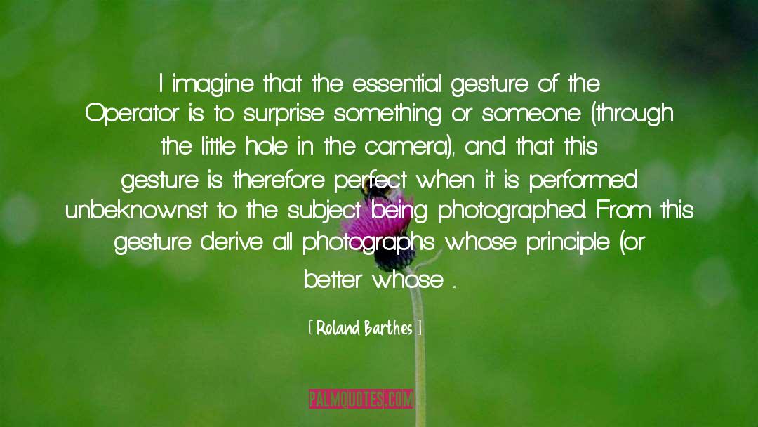 Camera Obscura quotes by Roland Barthes