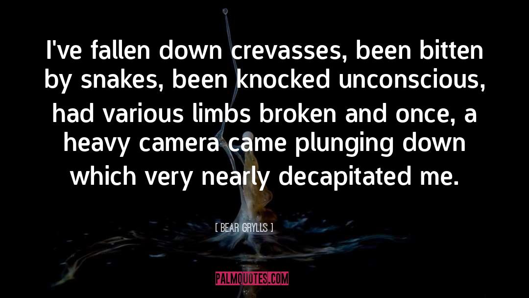 Cameras quotes by Bear Grylls