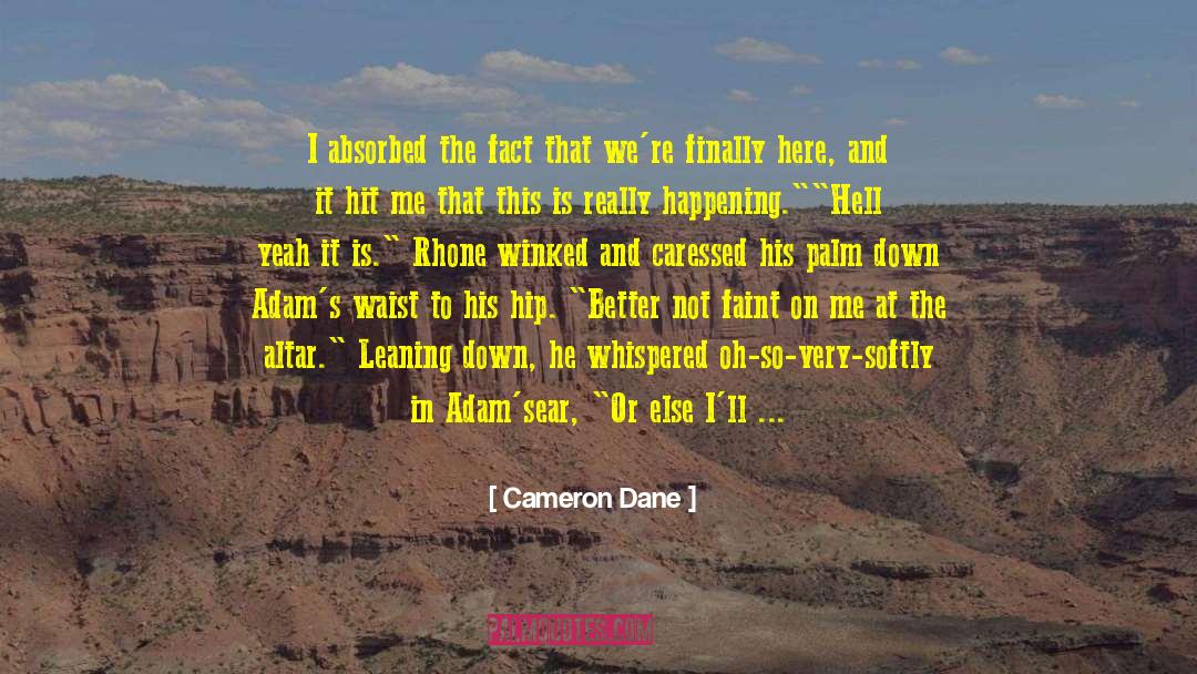 Cameron Quinn quotes by Cameron Dane